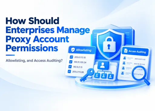 How Should Enterprises Manage Proxy Account Permissions, Allowlisting, and Access Auditing?